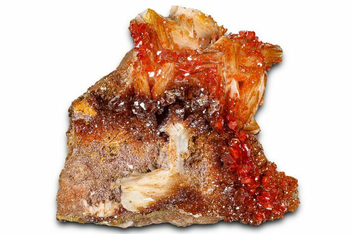 Glittering Ruby Red Vanadinite Crystals on Barite - Morocco #365774